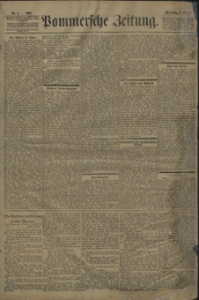 Pommersche Zeitung : organ für Politik und Provinzial-Interessen. 1901 Nr. 2
