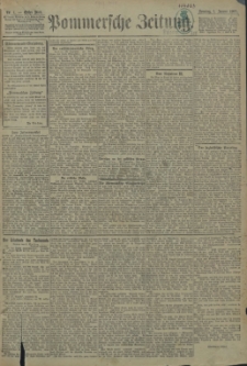 Pommersche Zeitung : organ für Politik und Provinzial-Interessen. 1905 Nr. 1 Blatt 2