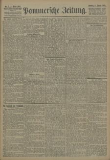 Pommersche Zeitung : organ für Politik und Provinzial-Interessen. 1905 Nr. 7 Blatt 2