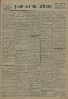 Pommersche Zeitung : organ für Politik und Provinzial-Interessen. 1905 Nr. 7 Blatt 2