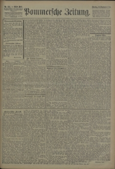 Pommersche Zeitung : organ für Politik und Provinzial-Interessen. 1906 Nr. 223 Blatt 1