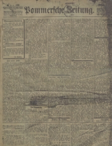 Pommersche Zeitung : organ für Politik und Provinzial-Interessen. 1902 Nr. 5