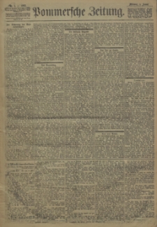Pommersche Zeitung : organ für Politik und Provinzial-Interessen. 1902 Nr. 6
