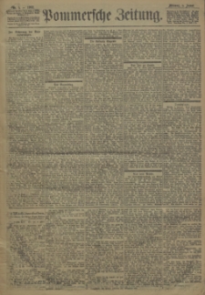 Pommersche Zeitung : organ für Politik und Provinzial-Interessen. 1902 Nr. 8