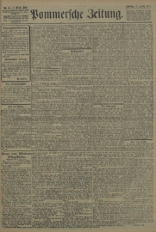 Pommersche Zeitung : organ für Politik und Provinzial-Interessen. 1907 Nr. 267
