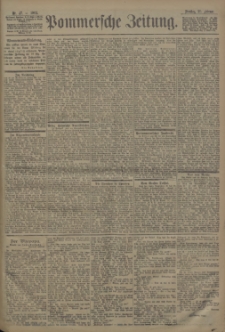 Pommersche Zeitung : organ für Politik und Provinzial-Interessen. 1902 Nr. 46
