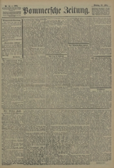 Pommersche Zeitung : organ für Politik und Provinzial-Interessen. 1905 Nr. 79 Blatt 1