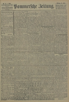 Pommersche Zeitung : organ für Politik und Provinzial-Interessen. 1905 Nr. 86