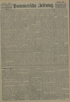 Pommersche Zeitung : organ für Politik und Provinzial-Interessen. 1905 Nr. 132