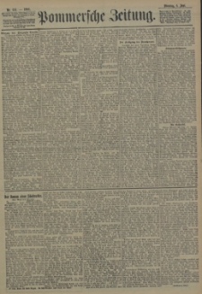 Pommersche Zeitung : organ für Politik und Provinzial-Interessen. 1905 Nr. 133