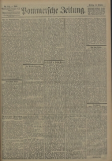 Pommersche Zeitung : organ für Politik und Provinzial-Interessen. 1902 Nr. 287 Blatt 1