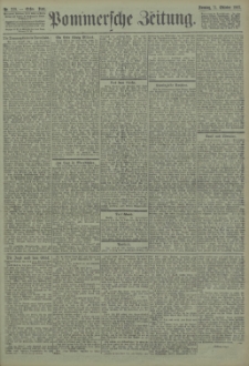 Pommersche Zeitung : organ für Politik und Provinzial-Interessen. 1903 Nr. 251 Blatt 251