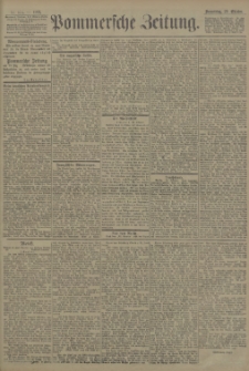 Pommersche Zeitung : organ für Politik und Provinzial-Interessen. 1903 Nr. 263 Blatt 1