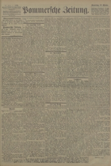 Pommersche Zeitung : organ für Politik und Provinzial-Interessen. 1903 Nr. 263 Blatt 2