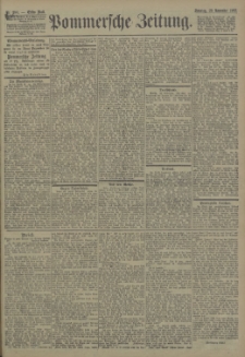 Pommersche Zeitung : organ für Politik und Provinzial-Interessen. 1903 Nr. 304