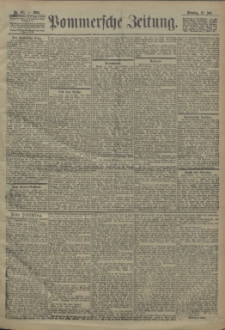 Pommersche Zeitung : organ für Politik und Provinzial-Interessen. 1904 Nr. 161