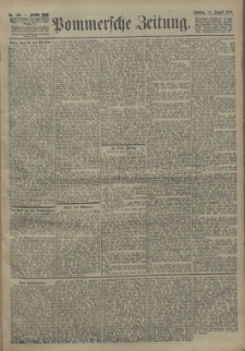 Pommersche Zeitung : organ für Politik und Provinzial-Interessen. 1904 Nr. 193