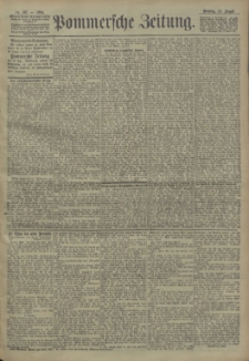 Pommersche Zeitung : organ f&uuml;r Politik und Provinzial-Interessen. 1904 Nr. 198