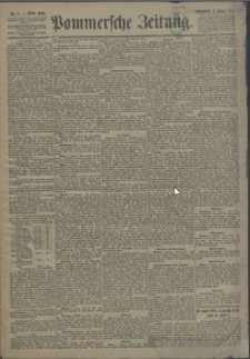 Pommersche Zeitung : organ für Politik und Provinzial-Interessen. 1891 Nr. 131 Blatt 1