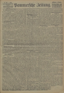 Pommersche Zeitung : organ für Politik und Provinzial-Interessen. 1904 Nr. 293