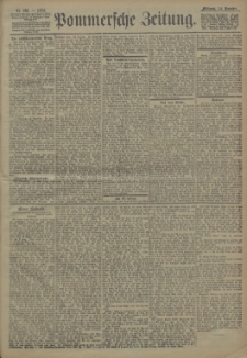 Pommersche Zeitung : organ für Politik und Provinzial-Interessen. 1904 Nr. 294