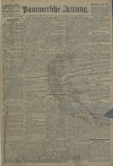 Pommersche Zeitung : organ für Politik und Provinzial-Interessen. 1896 Nr. 194