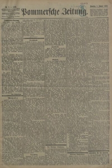 Pommersche Zeitung : organ für Politik und Provinzial-Interessen. 1899 Nr. 3