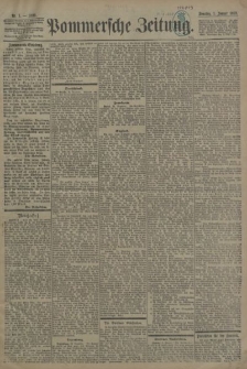 Pommersche Zeitung : organ für Politik und Provinzial-Interessen. 1899 Nr. 133