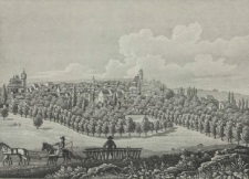 Ansicht auf Stargard vom Mühlen Berge