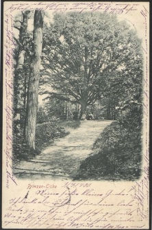 Prinzen-Eiche