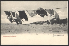 Ostseebad Lubmin, "Bade-Stillleben"