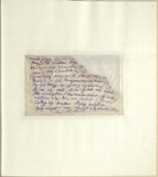 Listy Stanisława Ignacego Witkiewicza do żony Jadwigi z Unrug&oacute;w Witkiewiczowej. List z końca listopada 1924