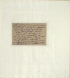 Listy Stanisława Ignacego Witkiewicza do żony Jadwigi z Unrugów Witkiewiczowej. Kartka pocztowa z 29.08.1925