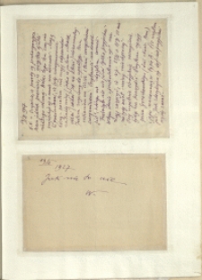 Listy Stanisława Ignacego Witkiewicza do żony Jadwigi z Unrugów Witkiewiczowej. Listy z 19.02.1927