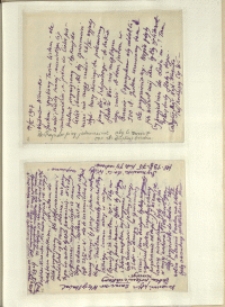 Listy Stanisława Ignacego Witkiewicza do żony Jadwigi z Unrugów Witkiewiczowej. List z 17.05.1927. List z 19.05.1927.