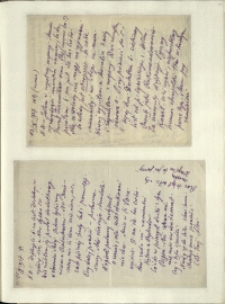 Listy Stanisława Ignacego Witkiewicza do żony Jadwigi z Unrugów Witkiewiczowej. List z 13.10.1927. List z 15.10.1927.