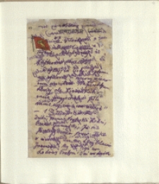 Listy Stanisława Ignacego Witkiewicza do żony Jadwigi z Unrugów Witkiewiczowej. List z 15.09.1928