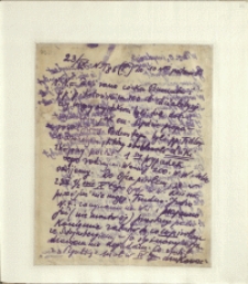 Listy Stanisława Ignacego Witkiewicza do żony Jadwigi z Unrugów Witkiewiczowej. List z 23.09.1928