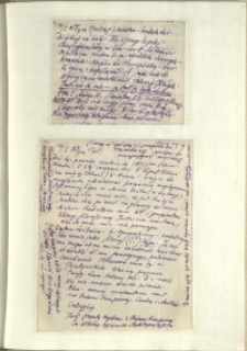 Listy Stanisława Ignacego Witkiewicza do żony Jadwigi z Unrugów Witkiewiczowej. List z 14.01.1929. List z 16.01.1929.