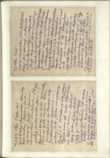 Listy Stanisława Ignacego Witkiewicza do żony Jadwigi z Unrugów Witkiewiczowej. List z 20.01.1929. List z 22.01.1929.