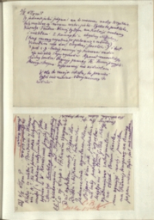Listy Stanisława Ignacego Witkiewicza do żony Jadwigi z Unrugów Witkiewiczowej. List z 03.02.1929. List z 04.02.1929.