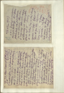 Listy Stanisława Ignacego Witkiewicza do żony Jadwigi z Unrugów Witkiewiczowej. List z 24.02.1929. List z 25.02.1929.