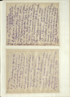 Listy Stanisława Ignacego Witkiewicza do żony Jadwigi z Unrugów Witkiewiczowej. List z 08.03.1929. List z 11.03.1929.