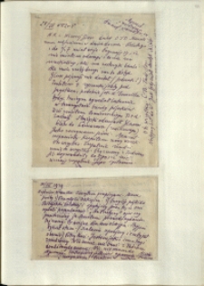 Listy Stanisława Ignacego Witkiewicza do żony Jadwigi z Unrugów Witkiewiczowej. List z 28.07.1929. List z 30.07.1929.