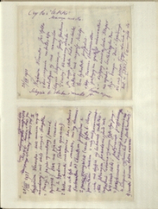 Listy Stanisława Ignacego Witkiewicza do żony Jadwigi z Unrugów Witkiewiczowej. List z 26.08.1931. List z 28.08.1931.