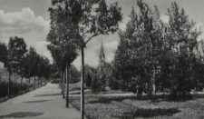 Neustettin in Pommern, Promenade am Streitzigsee
