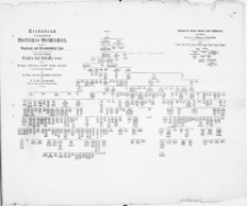Stammbaum des angesehenen Borkischen Geschlechtes, und zwar I. Regenwald- und Strammehlscher Linie. Des Herrn General Grafen von Borcke, Hochgeb. [...] denen übrigen Gliedern dieses hohen Hauses [...]