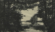 Partie am Streitzigsee mit Motorboot Hindenburg