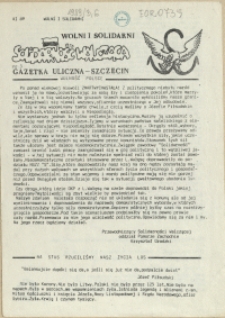 Solidarność Walcząca : pismo NSZZ "Solidarność" Szczecin. 1989 nr 3