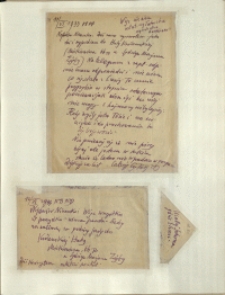 Listy Stanisława Ignacego Witkiewicza do żony Jadwigi z Unrugów Witkiewiczowej. List z 11.06.1933. List z 12.06.1933.